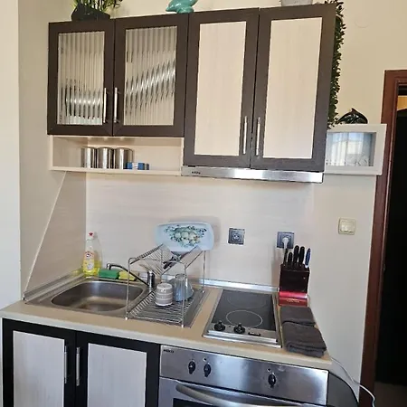 Summer Dreams Sunny *