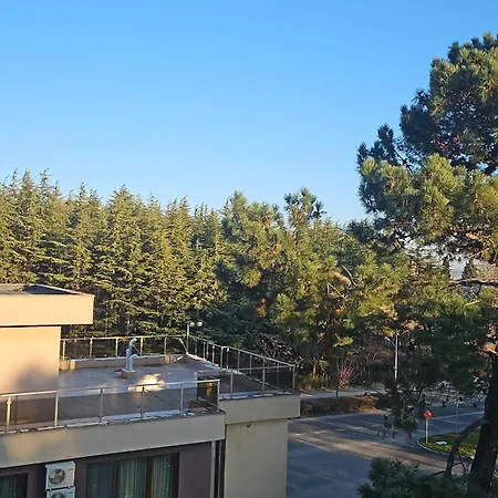 Apartman Summer Dreams Sunny