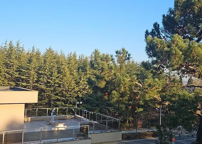 Апартаменты Summer Dreams Sunny